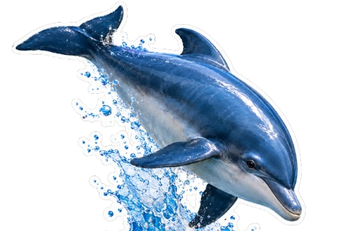 Fishes Size